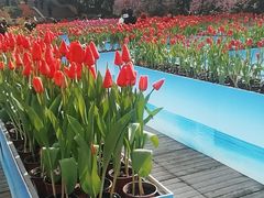 -南山植物园