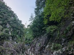-楠溪江石桅岩