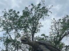 -广东惠东海龟国家级自然保护区