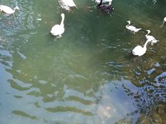 -长白岛森林公园