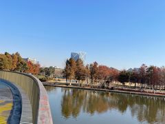 -春花秋色城市公园