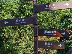 -泸州老窖景区