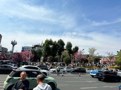 -昆明动物园