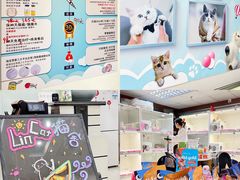 -lincat·猫舍(广州店)