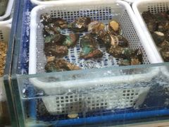 水产区-顺鑫石门市场