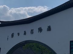 -杭州少年儿童公园