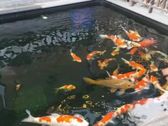 -华庭苑农家乐(旺山店)