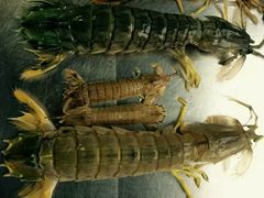 android_upload_pic-宁海食府(大剧院店)