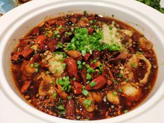 水煮肉-大鸭梨烤鸭(左家庄店)