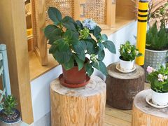 -Fruiffee Cafe 果啡派