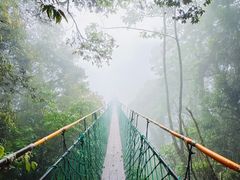 -云南屏边大围山国家公园