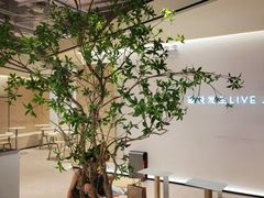 -喜茶(深圳东门1234店)
