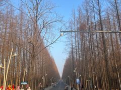 -日照海滨国家森林公园