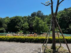 -宁波野生动物园