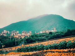 -东部华侨城