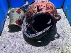 -大连老虎滩海洋公园