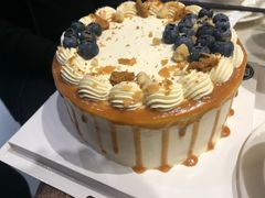 -蜜肆动物奶油蛋糕·个性定制·下午茶甜品