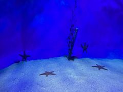 -太平洋海底世界