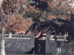 -八大关景区