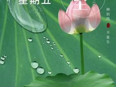-禾田餐厅•乡野湖北菜(徐东店)