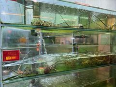 -大茄来海鲜餐厅(亚洲城分行)