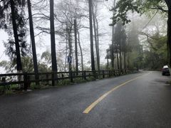 -莫干山风景区