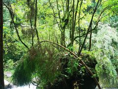 -西岭雪山大飞水景区