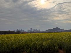 -光明小镇欢乐田园
