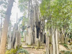 -成都市文殊院