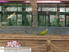 -南宫五洲植物乐园