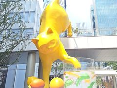 -深圳湾万象城(南山店)