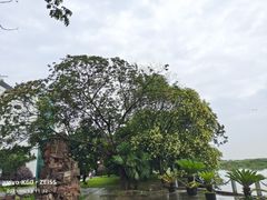 -同里湖度假村(二期店)