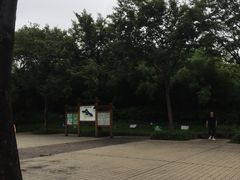 -新江湾城公园