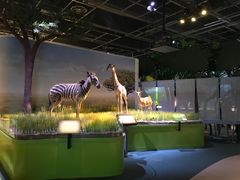 -香港科学馆