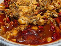 -美蛙四季(亦庄店)