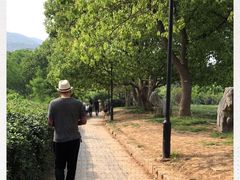 -雨花胜境