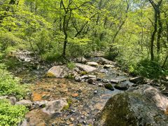 -玉渡山自然风景区