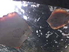 -杭州海底世界