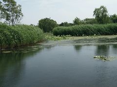 -大兴滨河森林公园