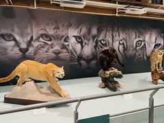 -国家自然博物馆