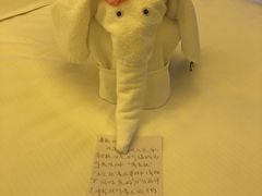 -舟山希尔顿酒店