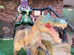 -陕西自然博物馆