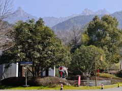 -九华山风景区
