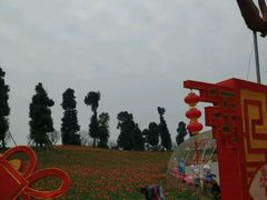 -秀丽东方