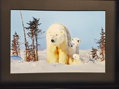 -罗红摄影艺术馆