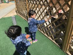 -萌宠亲子动物乐园(槐房万达店)