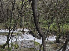 -牛背梁国家森林公园