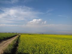 -青海湖国家重点风景名胜区