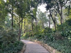 -成都市活水公园