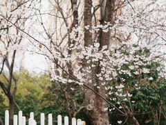 -武汉马哥孛罗酒店